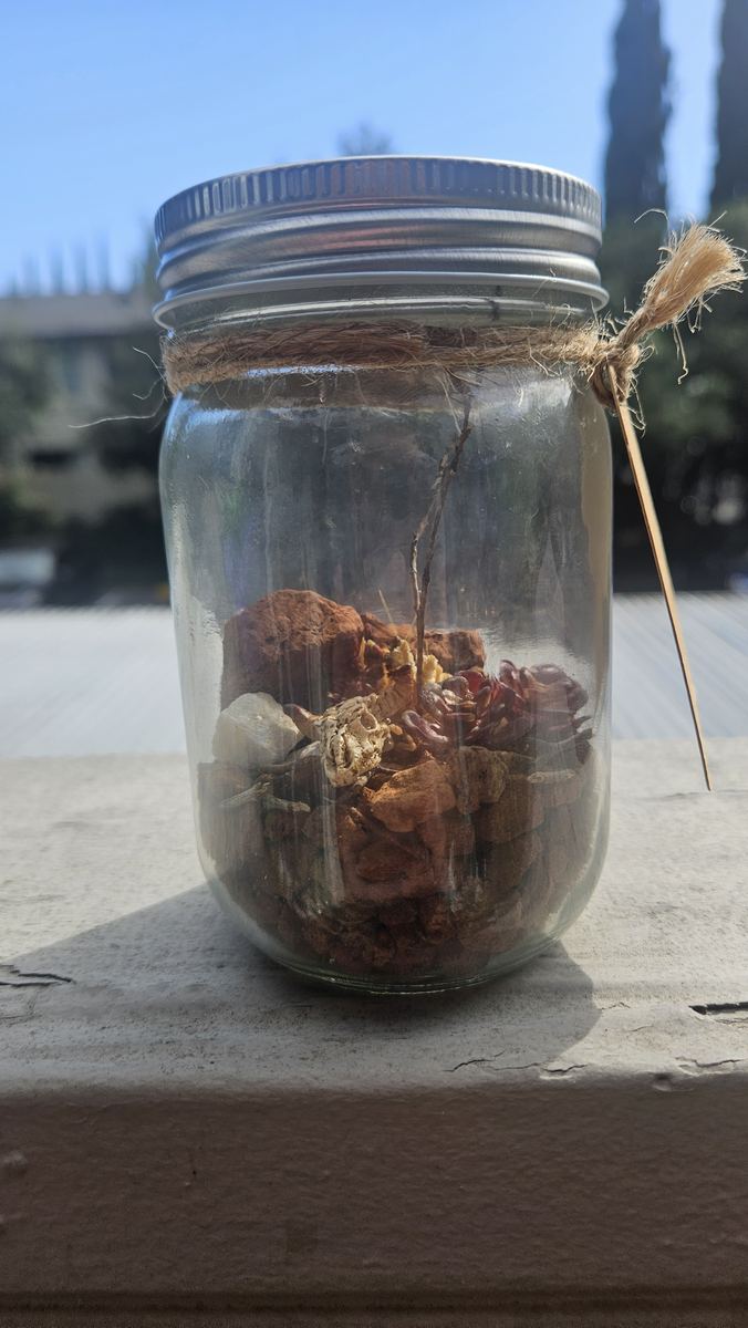 Faux terrarium jar with dried flowers on an outdoor ledge in the sun