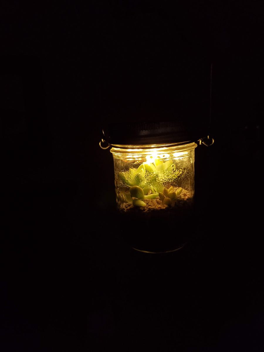 Lantern jar terrarium glowing warm yellow in the dark